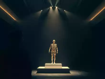 Körperwelten: Wiener Promis bestaunen plastinierte Anatomie - Foto: über boerse-global.de