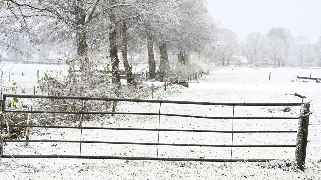 Weiteren Schnee sagt der Deutsche Wetterdienst frühestens am Sonntag vorher. - Bild: Lars Penning/dpa