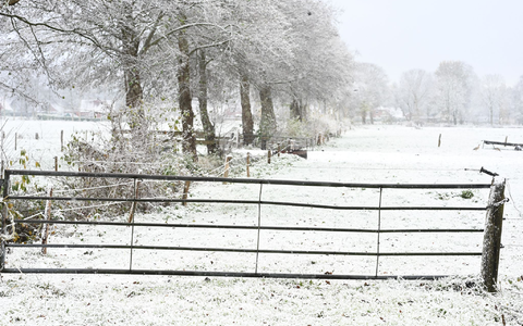 Wegen Glatteis ist es in Sachsen zu dutzenden Unfällen gekommen.  - Foto: Lars Penning/dpa