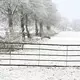 Weiteren Schnee sagt der Deutsche Wetterdienst frühestens am Sonntag vorher. - Bild: Lars Penning/dpa
