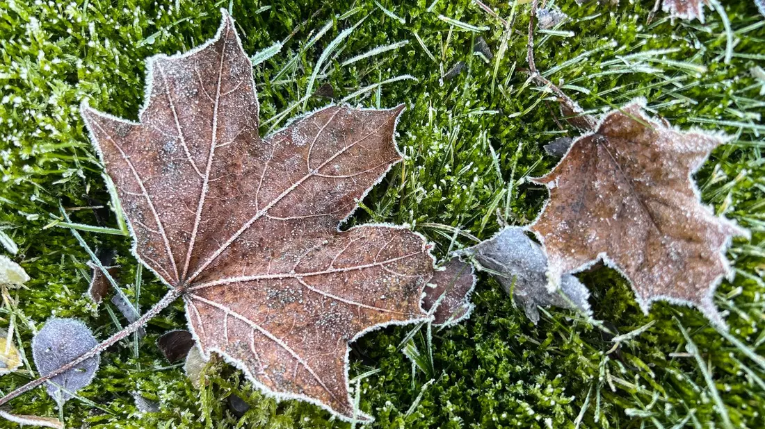 Vom Kälterekord ist das Wetter in Deutschland noch weit entfernt. - Bild: Britta Pedersen/dpa