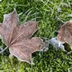 Vom Kälterekord ist das Wetter in Deutschland noch weit entfernt. - Bild: Britta Pedersen/dpa