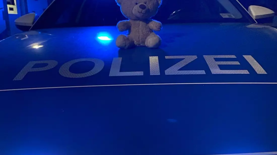 POL-PDNW: Teddy sucht Familie - Bild: presseportal.de
