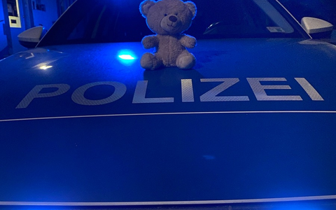 POL-PDNW: Teddy sucht Familie - Foto: presseportal.de