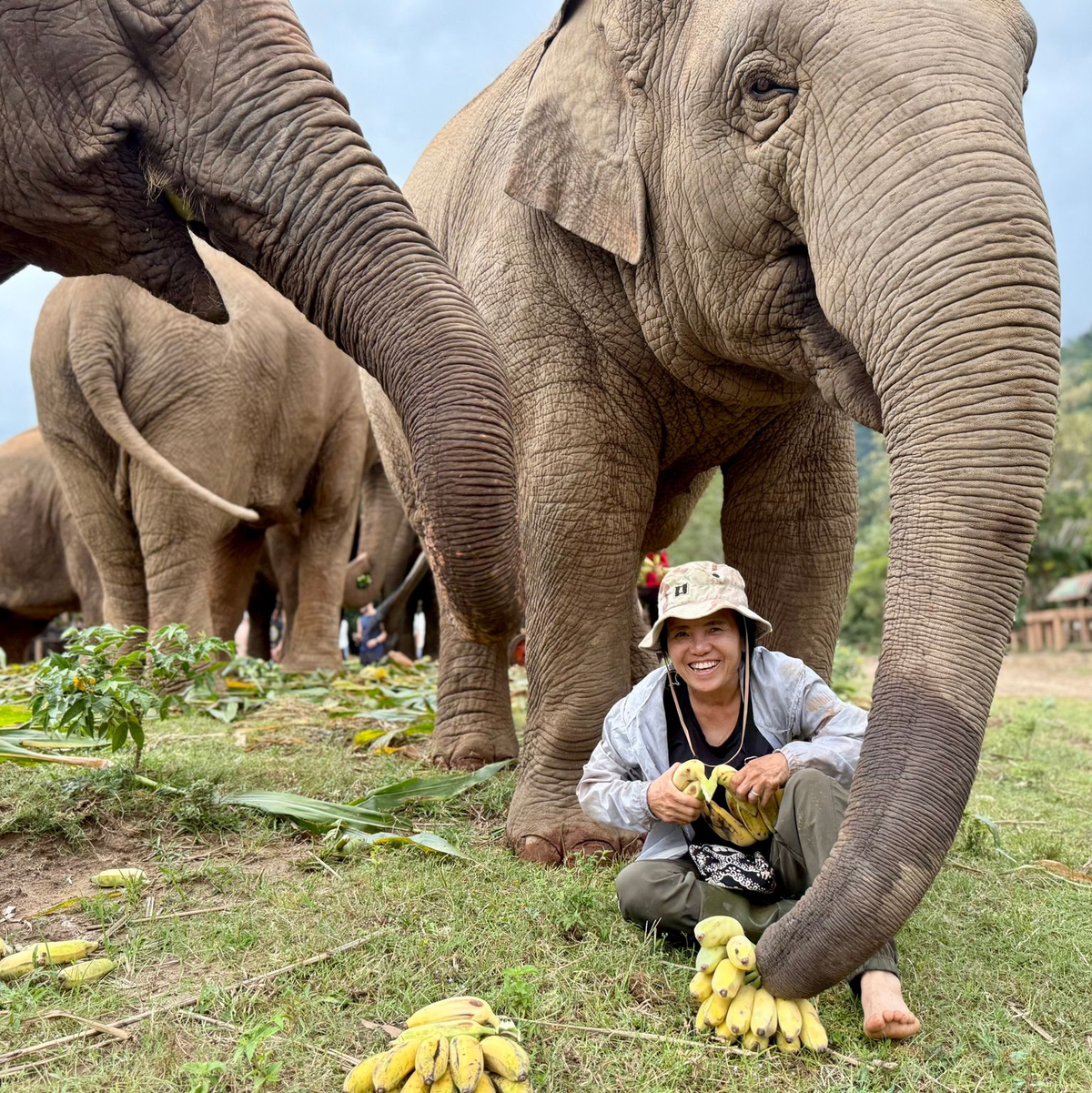 Lek ist für ihre Arbeit vielfach ausgezeichnet worden. - Foto: Carola Frentzen/dpa