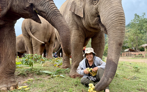 Lek ist für ihre Arbeit vielfach ausgezeichnet worden. - Foto: Carola Frentzen/dpa