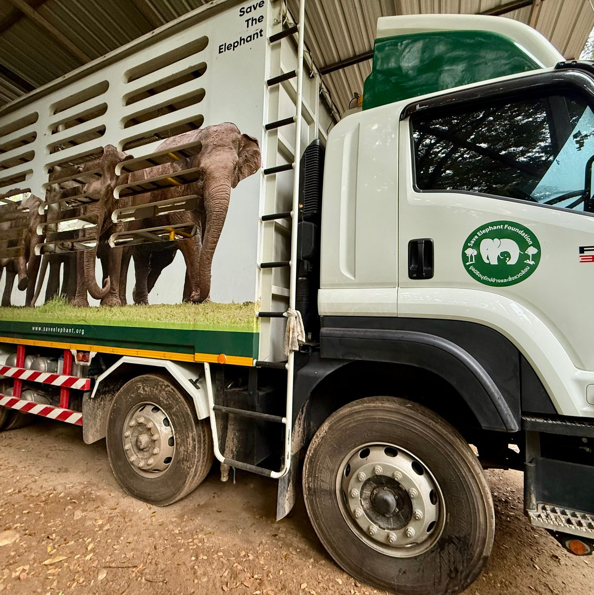In solchen Trucks werden die Elefanten nach ihrer Rettung in den Elephant Nature Park gefahren. - Foto: Carola Frentzen/dpa