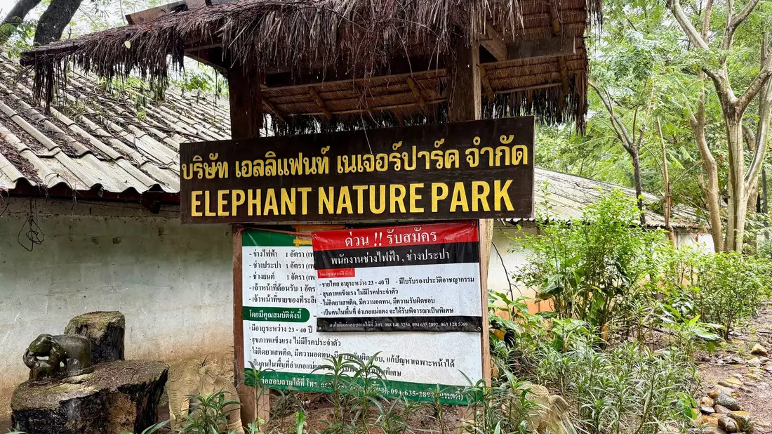 Der Elephant Nature Park liegt in der Nähe der bekannten Stadt Chiang Mai. - Bild: Carola Frentzen/dpa
