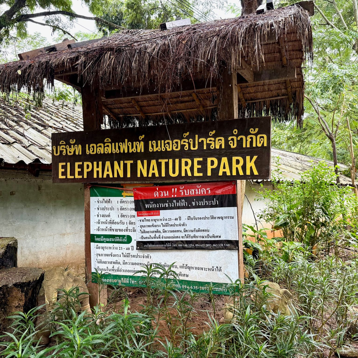 Der Elephant Nature Park liegt in der Nähe der bekannten Stadt Chiang Mai. - Foto: Carola Frentzen/dpa
