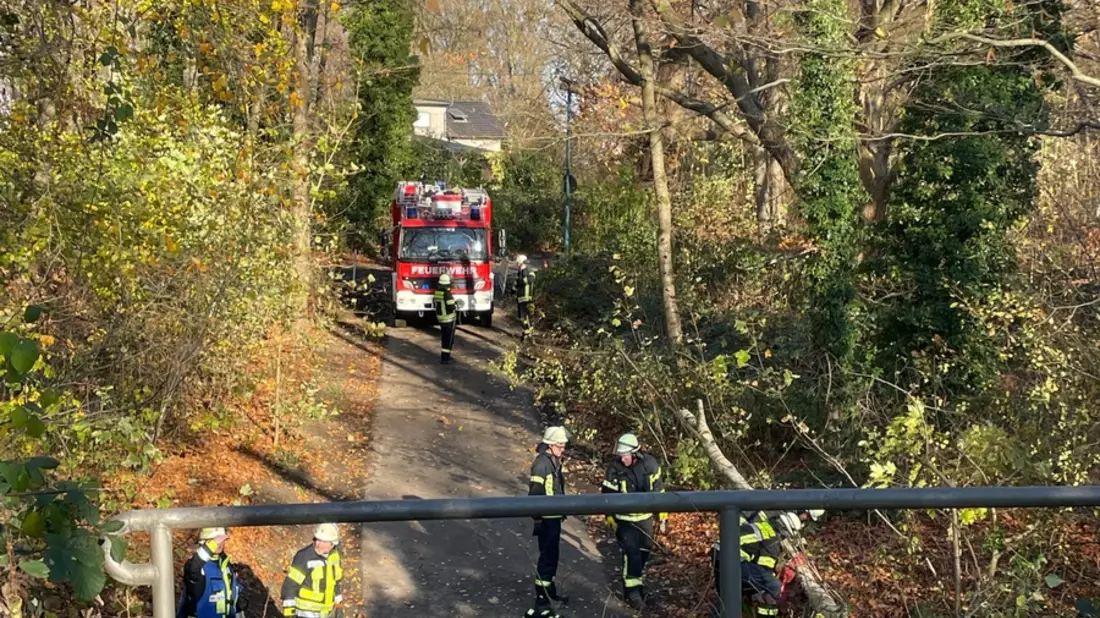 FW-Schermbeck: Einsätze der Feuerwehr Schermbeck - Bild: presseportal.de