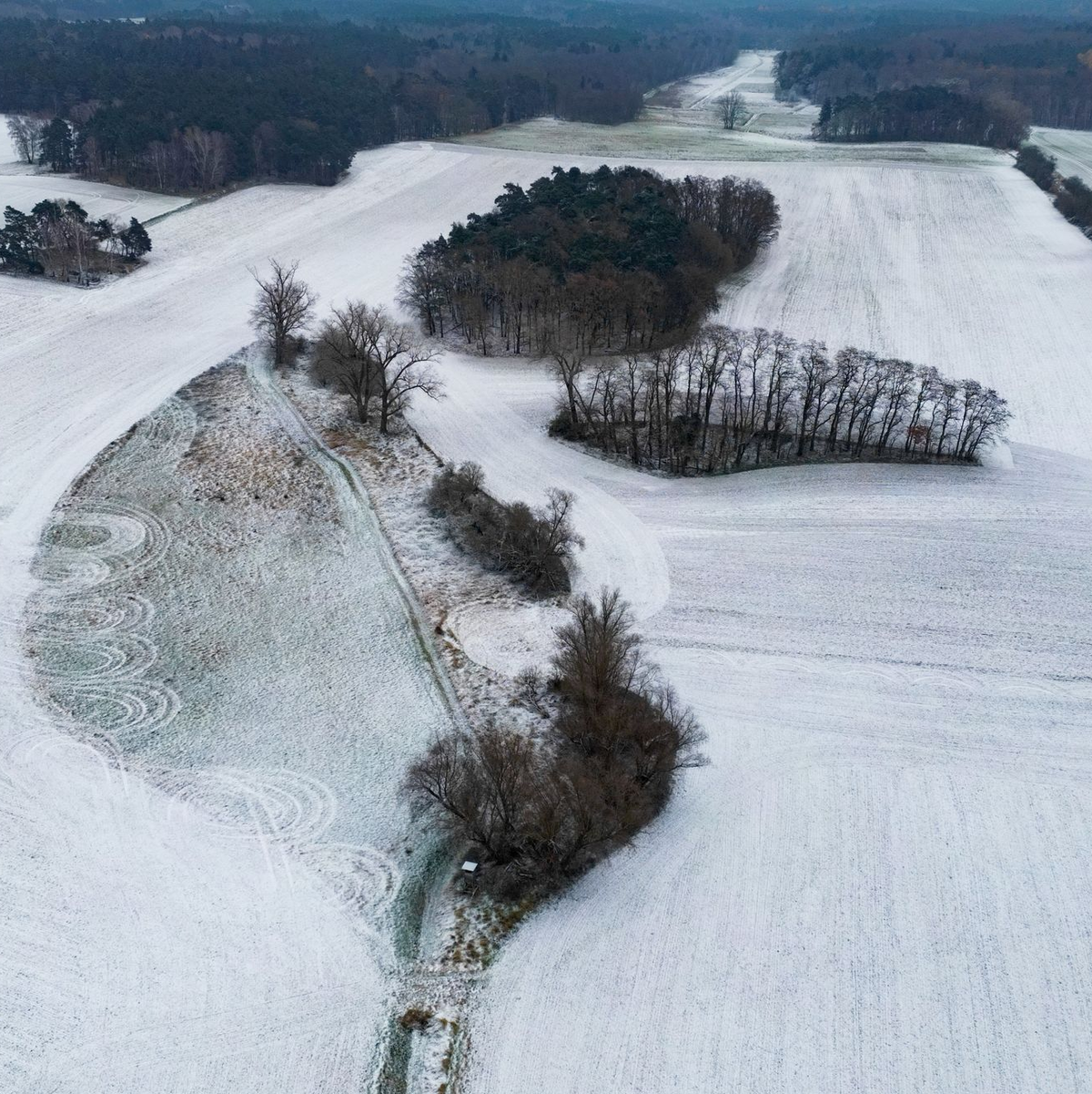 Der Winter bleibt laut DWD noch eine Weile in Deutschland. - Foto: Patrick Pleul/dpa