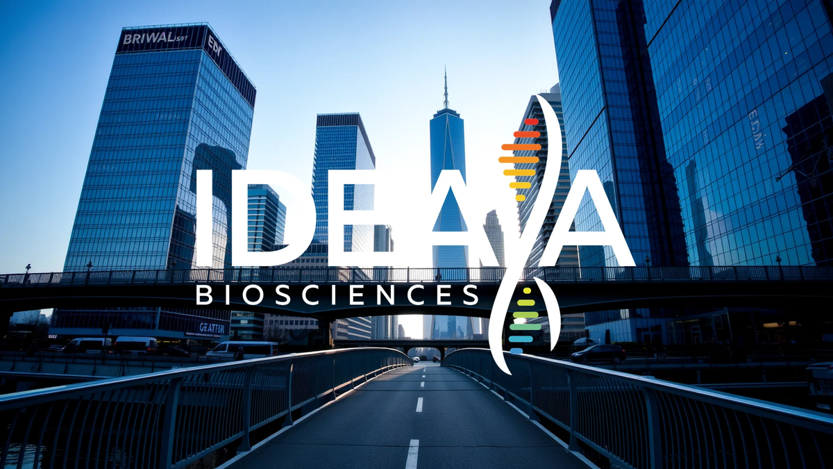 Ideaya Biosciences: A Promising Investment as Key Clinical Data Nears - Foto: über boerse-global.de