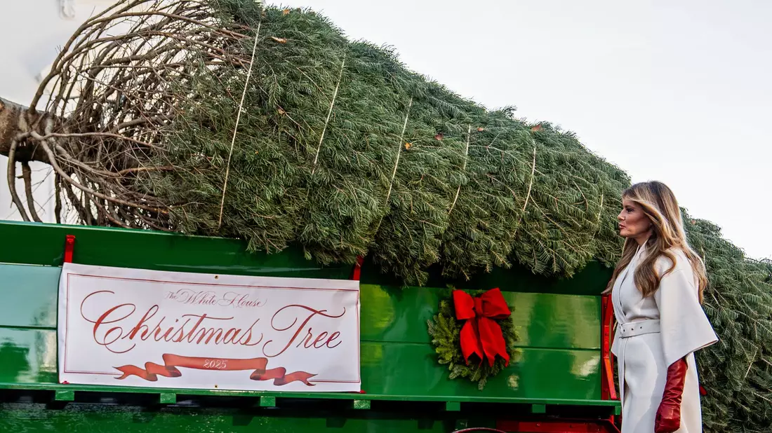 Der Weihnachtsbaum kommt im Weißen Haus an. - Bild: Julia Demaree Nikhinson/AP/dpa