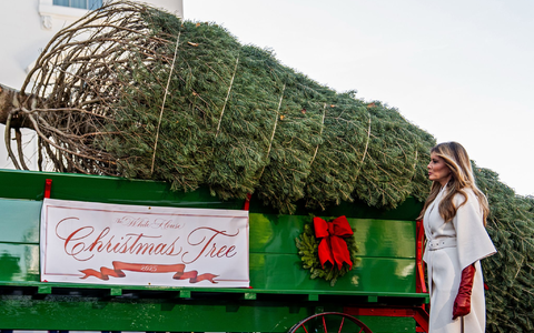 Der Weihnachtsbaum kommt im Weißen Haus an. - Foto: Julia Demaree Nikhinson/AP/dpa