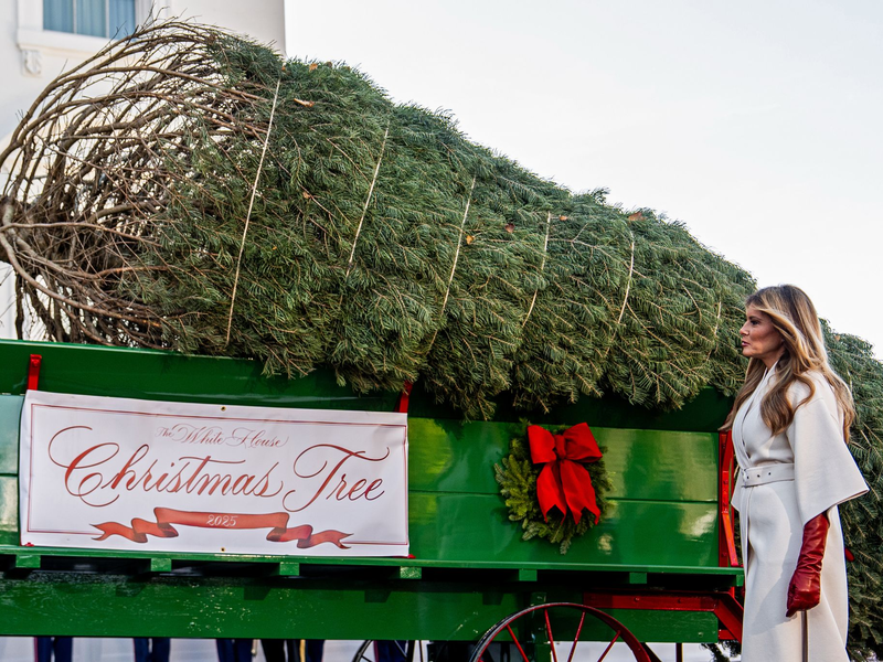 Der Weihnachtsbaum kommt im Weißen Haus an. - Foto: Julia Demaree Nikhinson/AP/dpa
