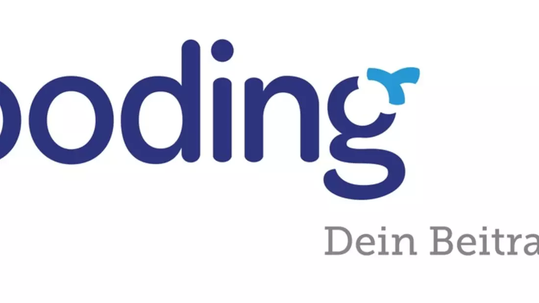20 Millionen Euro für den guten Zweck - Gooding erreicht großen Meilenstein zur Weihnachtszeit - Bild: presseportal.de