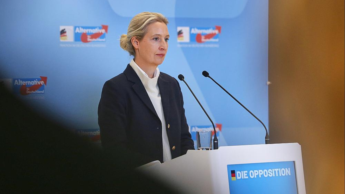 Alice Weidel am 24.11.2025 - Foto: über dts Nachrichtenagentur