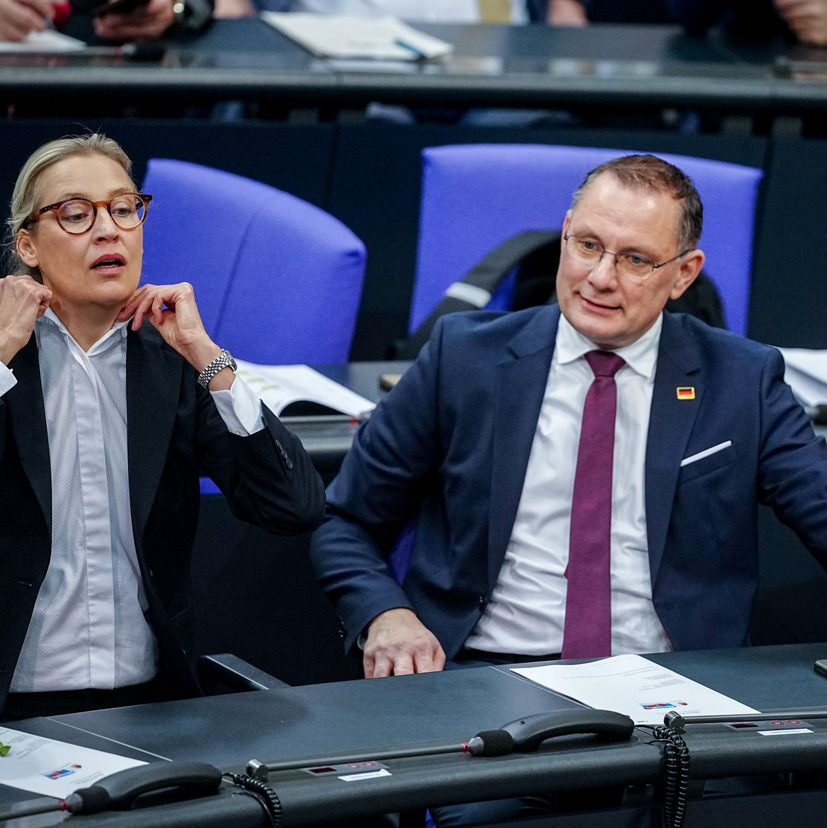 Die Gespräche von Alice Weidel, Co-Fraktionsvorsitzende und Co-Parteichefin der AfD, mit Unternehmern finden nach Angaben ihres Sprechers bislang meist im vertraulichen Rahmen statt.  - Foto: Kay Nietfeld/dpa