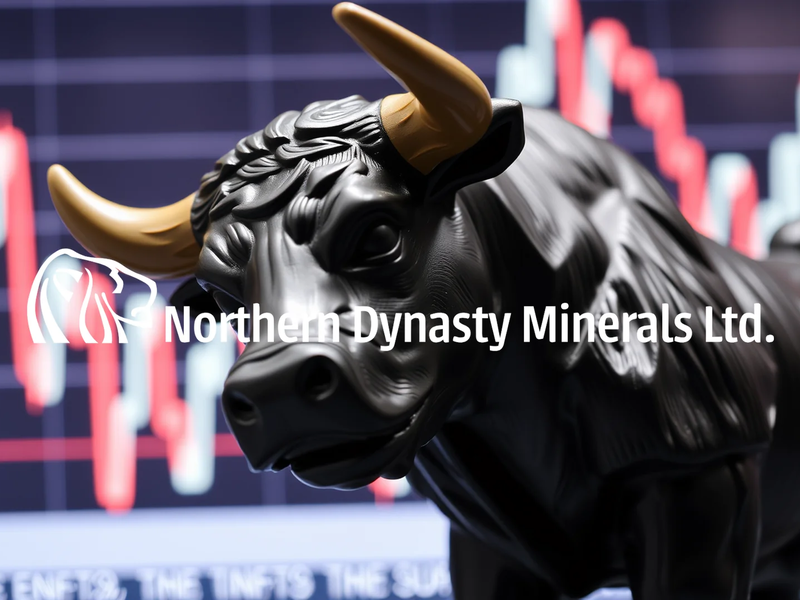 Northern Dynasty Minerals Aktie: Nervenkrieg! - Foto: über boerse-global.de