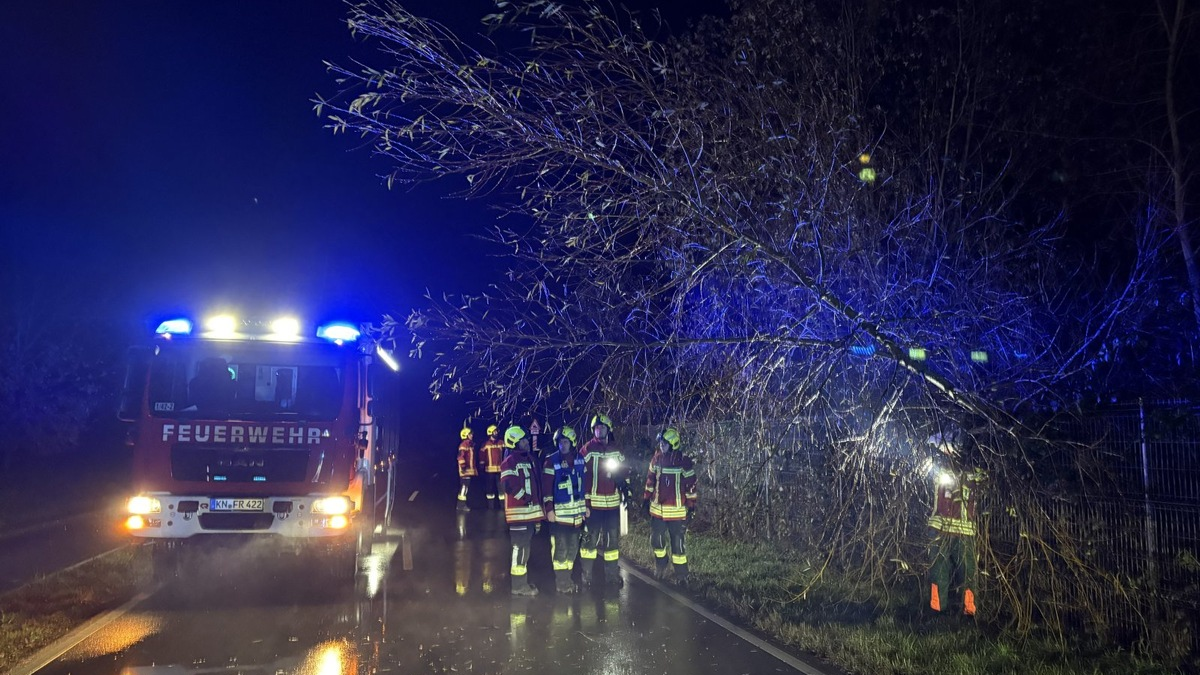 FW Reichenau: Baum über Fahrbahn, Rau-Lindenbühl, 26.11.2025 - Foto: presseportal.de