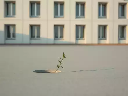 UC Merced-Studie: Väter-Resilienz senkt Frühgeburtsrisiko - Foto: über boerse-global.de