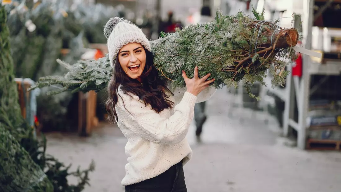 Echter Baum statt Plastik: Faktencheck zur Nachhaltigkeit / Warum der natürliche Weihnachtsbaum die klimafreundlichere Wahl ist - Bild: presseportal.de
