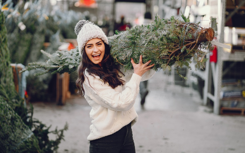 Echter Baum statt Plastik: Faktencheck zur Nachhaltigkeit / Warum der natürliche Weihnachtsbaum die klimafreundlichere Wahl ist - Foto: presseportal.de