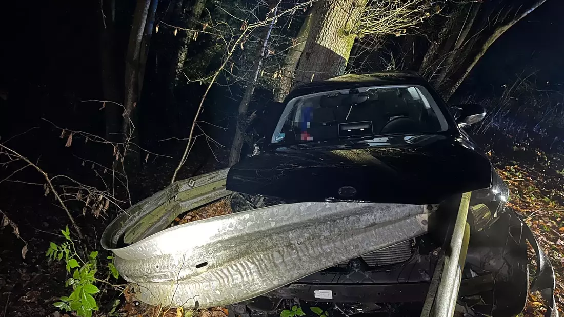POL-GM: Wild ausgewichen und in Leitplanke gekracht - Bild: presseportal.de