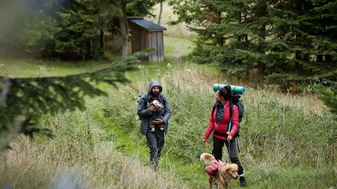 Haustierfreundliches Reisen ist im Trend: Bei 4 von 10 deutschen Hundebesitzern bestimmt der Vierbeiner die Urlaubsziele - Bild: presseportal.de