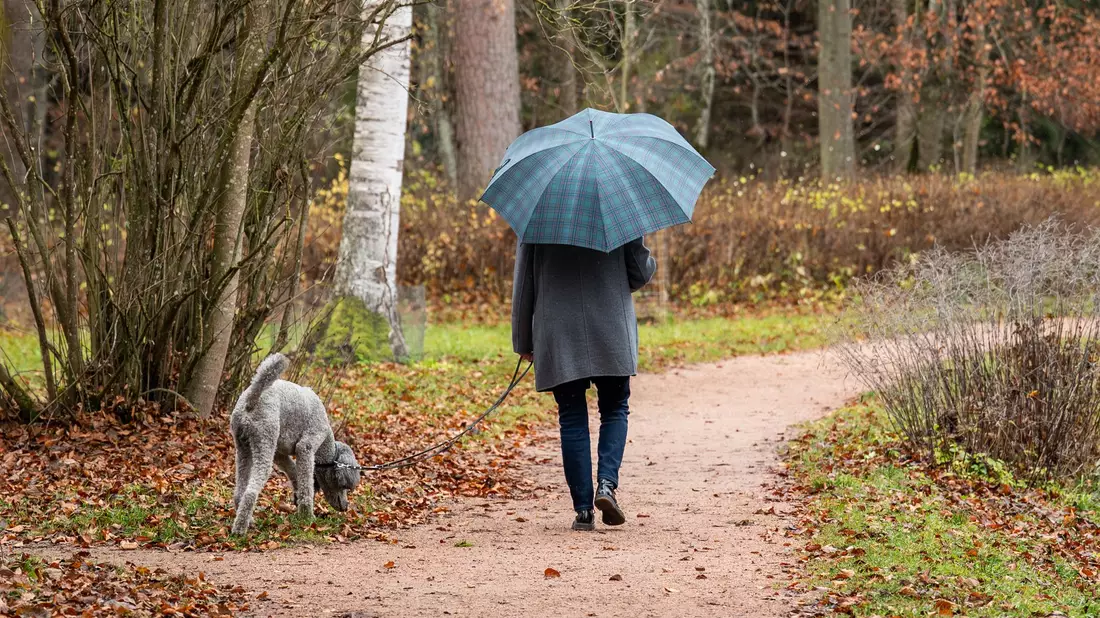 Ein Spaziergang ist ein gutes Mittel gegen Stress. (Symbolbild) - Bild: Silas Stein/dpa