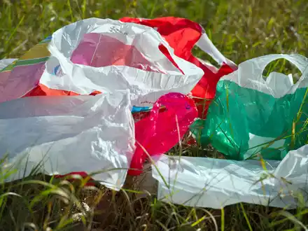 Plastiktüten wie diese sind inzwischen nicht mehr an Deutschlands Supermarkt-Kassen zu bekommen. (Archivbild) - Foto: picture alliance / ZB