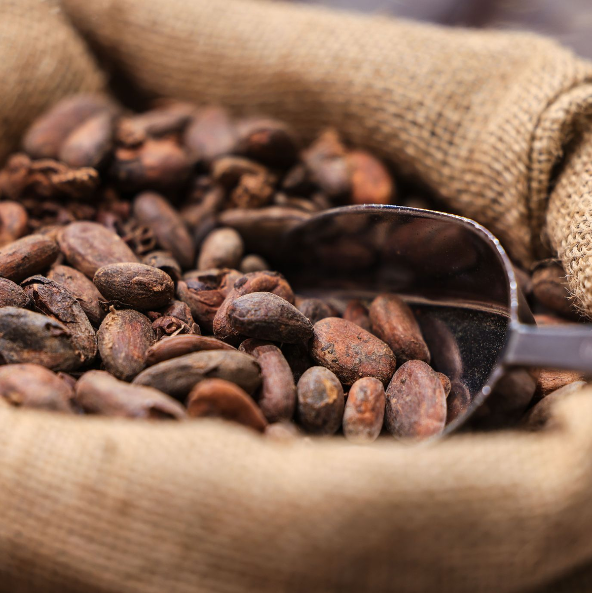 Teure Kakao-Importe sorgen für hohe Schokoladenpreise. - Foto: Oliver Berg/dpa