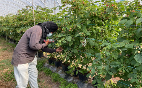 Die befreiten Migranten wurden laut Polizei oft geschlagen.  - Foto: -/Portugiesische Kriminalpolizei Polícia Judiciária PJ/dpa