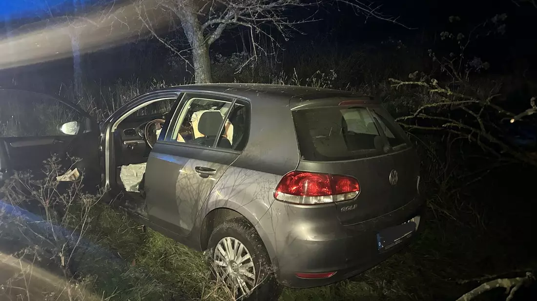 POL-PDLD: Edenkoben - Alkoholisiert aus dem Staub gemacht - Bild: presseportal.de