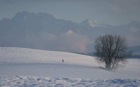 Der Deutsche Wetterdienst gibt an diesem Freitag seine Bilanz für den Herbst bekannt. (Symbolbild) - Foto: Karl-Josef Hildenbrand/dpa