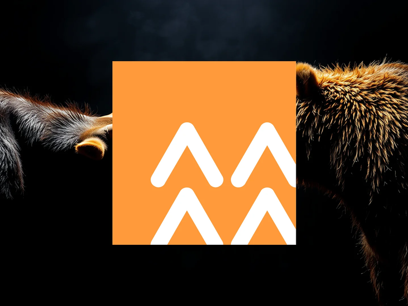 China Power Aktie: Winter-Stresstest steht bevor - Foto: über boerse-global.de