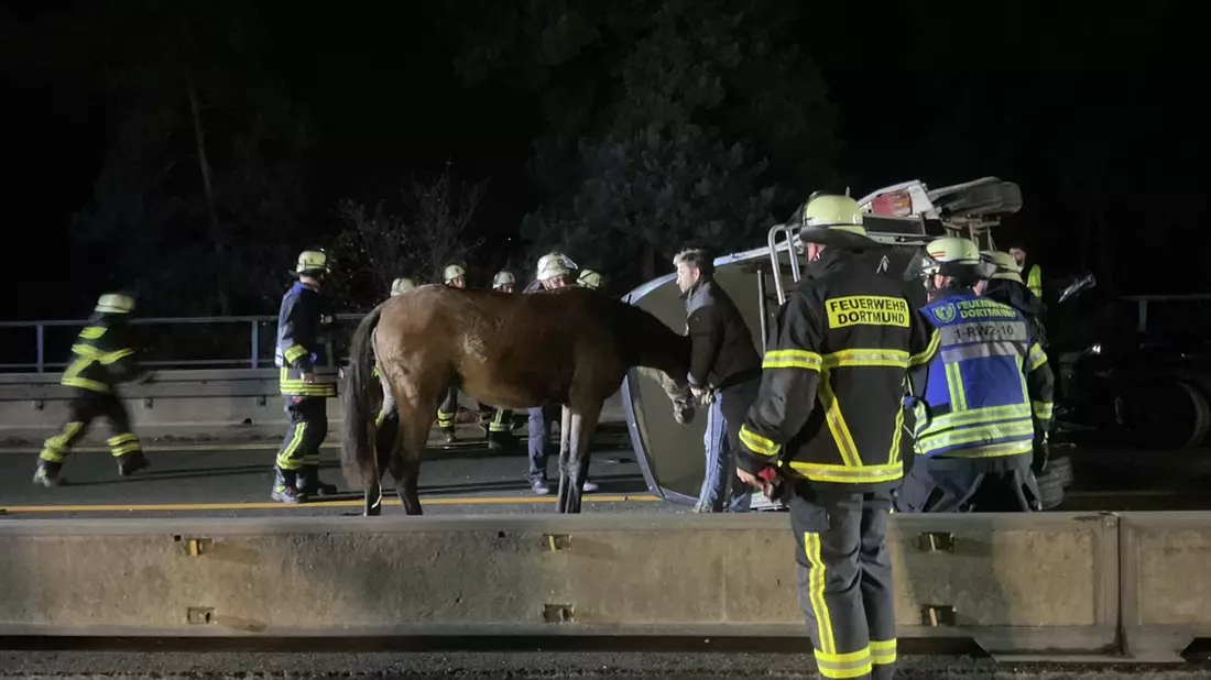 FW-DO: Auffahrunfall mit 5 Fahrzeugen auf der A45 - Pferdeanhänger umgekippt. - Bild: presseportal.de