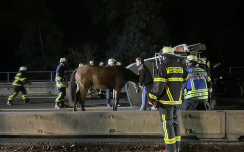 FW-DO: Auffahrunfall mit 5 Fahrzeugen auf der A45 - Pferdeanhänger umgekippt. - Foto: presseportal.de