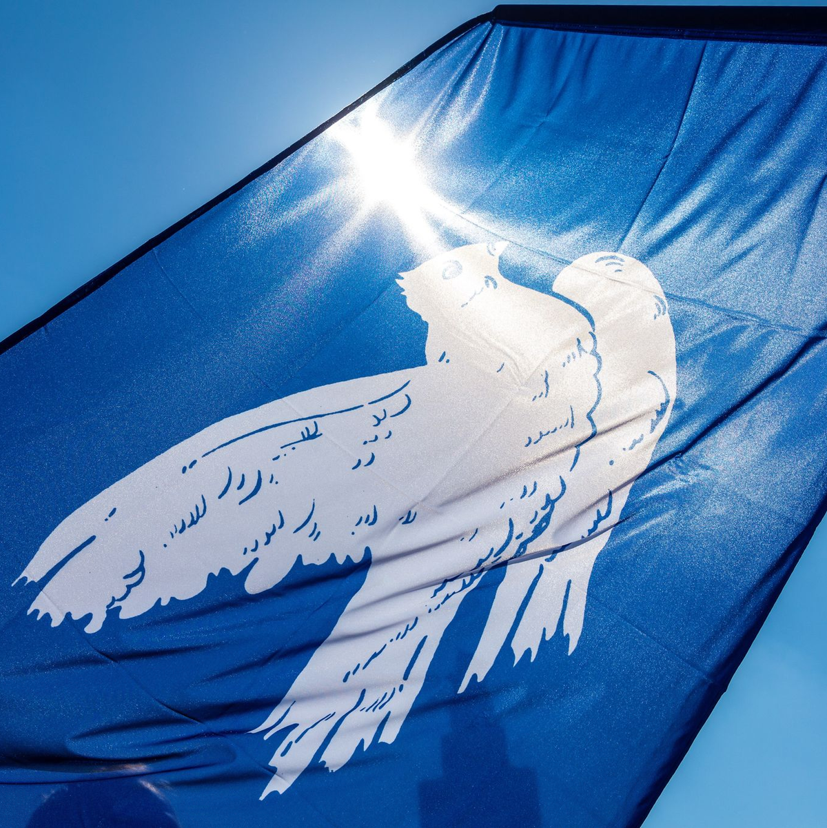 Der Wunsch nach Frieden im Krieg zwischen Russland und der Ukraine kommt von vielen Seiten - doch über den Weg dahin gibt es sehr unterschiedliche Vorstellungen. (Archivbild) - Foto: Frank Hammerschmidt/dpa