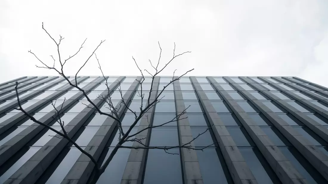 EU-Entwaldungsgesetz: Brüssel gewährt Unternehmen Aufschub bis 2026 - Bild: über boerse-global.de