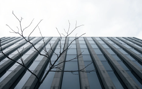 EU-Entwaldungsgesetz: Brüssel gewährt Unternehmen Aufschub bis 2026 - Foto: über boerse-global.de