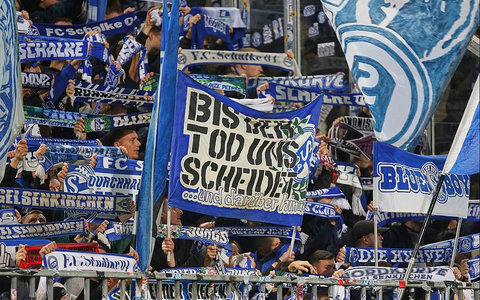 Fans von Schalke 04 (Archiv) - Foto: über dts Nachrichtenagentur