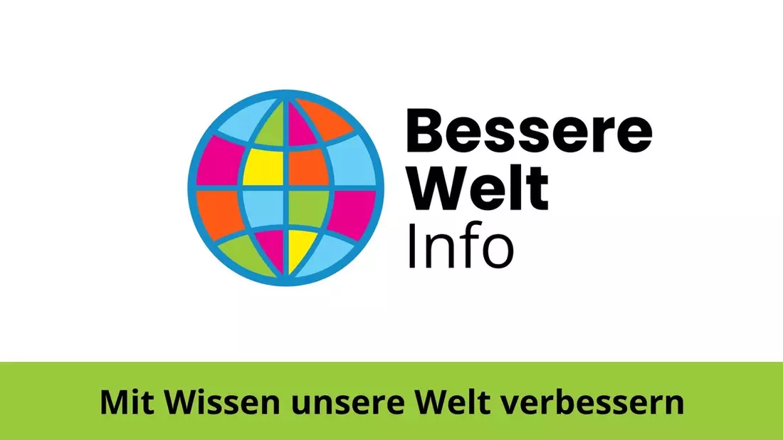Plattform und Ratgeber zum Schulstreik gegen die Wehrpflicht am 5. Dezember - Bild: presseportal.de