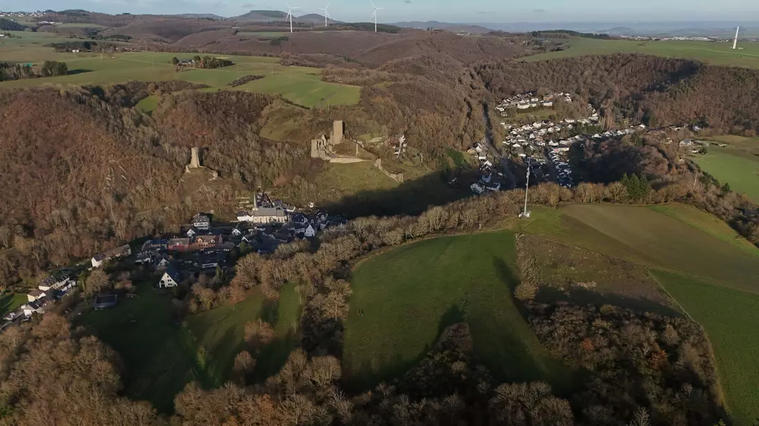 Die Leiche wurde in einem Waldstück bei Monreal entdeckt. (Archivbild) - Bild: Sascha Ditscher/dpa