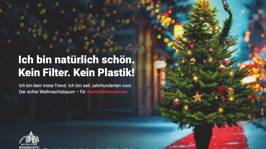 Erster bundesweiter Tag des natürlichen Weihnachtsbaums am 8. Dezember / Neuer Aktionstag feiert den echten Weihnachtsbaum: regional, nachhaltiger und mit Tradition - Bild: presseportal.de