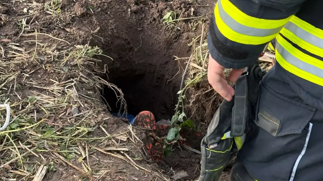 FW Beverungen: Schaf in Notlage / Feuerwehr Beverungen rettet Tier aus rund drei Meter tiefem Loch - Bild: presseportal.de