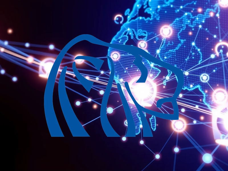 Northern Dynasty Aktie: Mächtiger Beistand! - Foto: über boerse-global.de