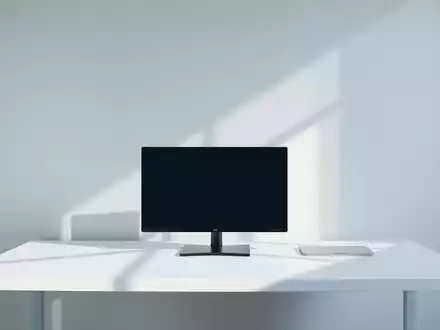 Windows 11: Search-Fenster wächst endlich auf Start-Höhe - Foto: über boerse-global.de