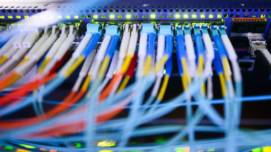 Was würde passieren, wenn von der AfD eingesetzte Beamte auf sicherheitsrelevante Daten zugreifen könnten, fragen sich Innenpolitiker anderer Parteien. (Symbolbild) - Bild: Julian Stratenschulte/dpa