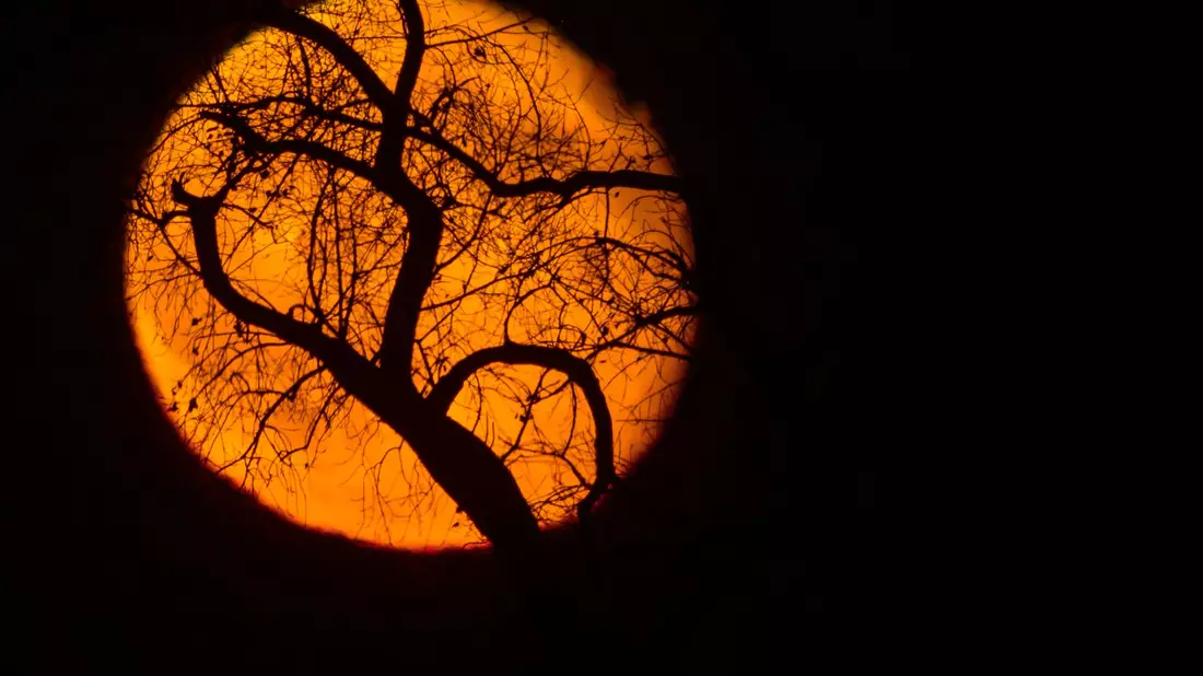 Nach dem kommenden Supermond findet der nächste in einem Jahr statt. (Archivbild) - Bild: Patrick Pleul/dpa